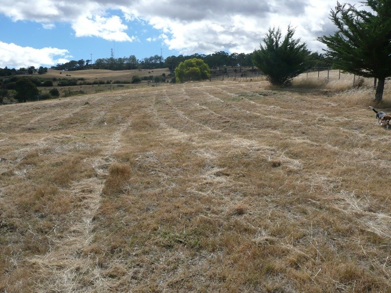 St Leonards TAS 7250