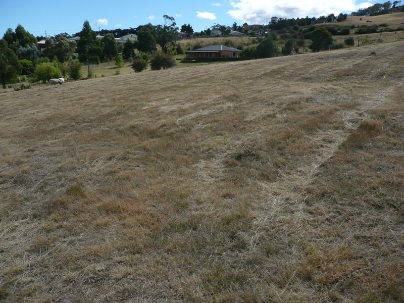 St Leonards TAS 7250