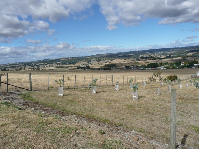 St Leonards TAS 7250