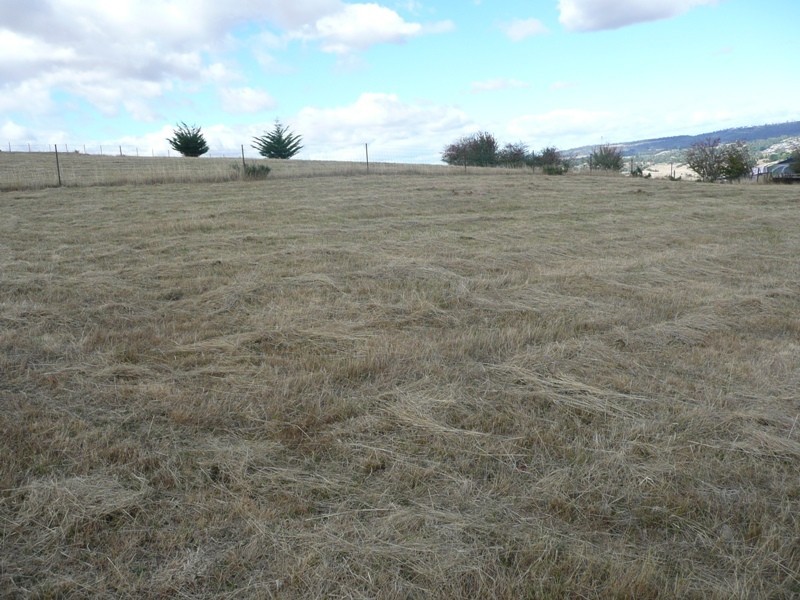 St Leonards TAS 7250