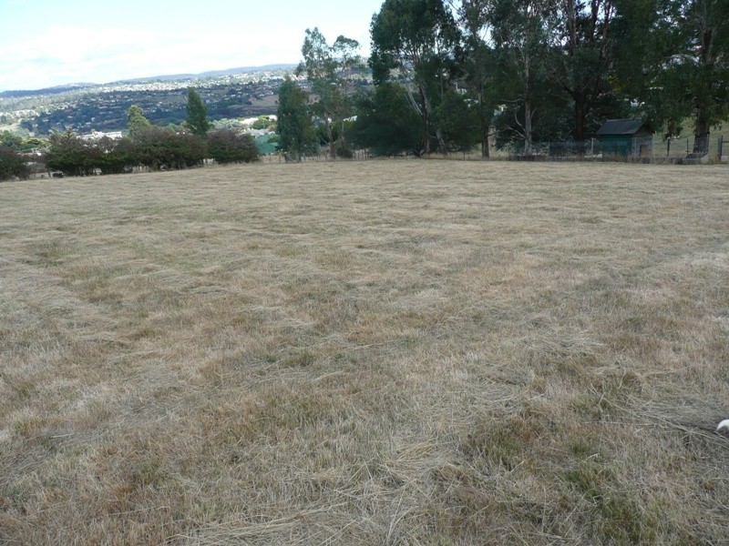 St Leonards TAS 7250