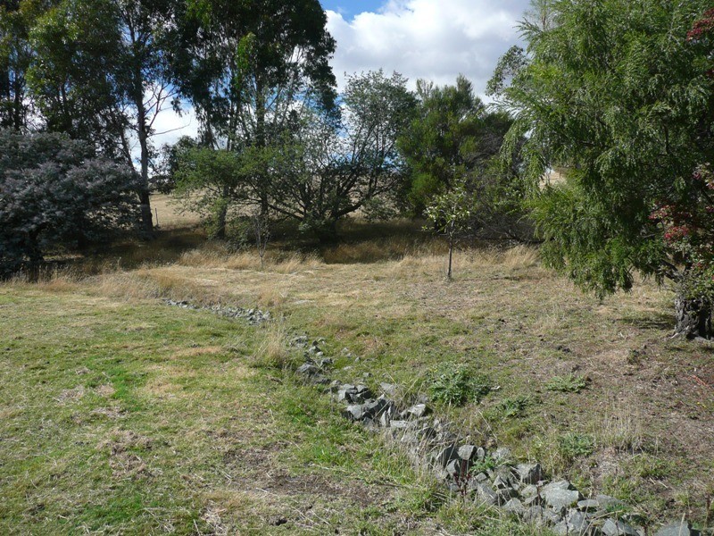 St Leonards TAS 7250