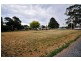 11 Little Mulgrave Street, Perth TAS 7300