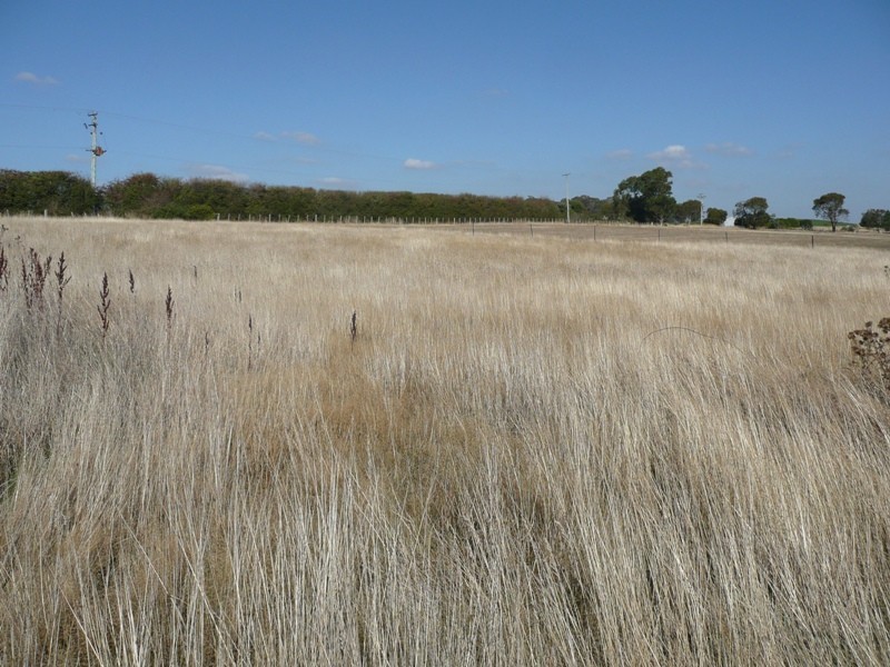 0 Armstrongs Lane, Bishopsbourne TAS 7301