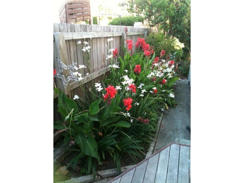 11 French Street, Launceston TAS 7250