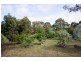 130 Jetty Road, Hillwood TAS 7252