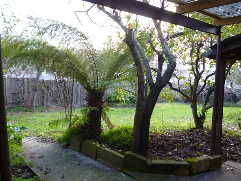 12 Canning Street, Launceston TAS 7250