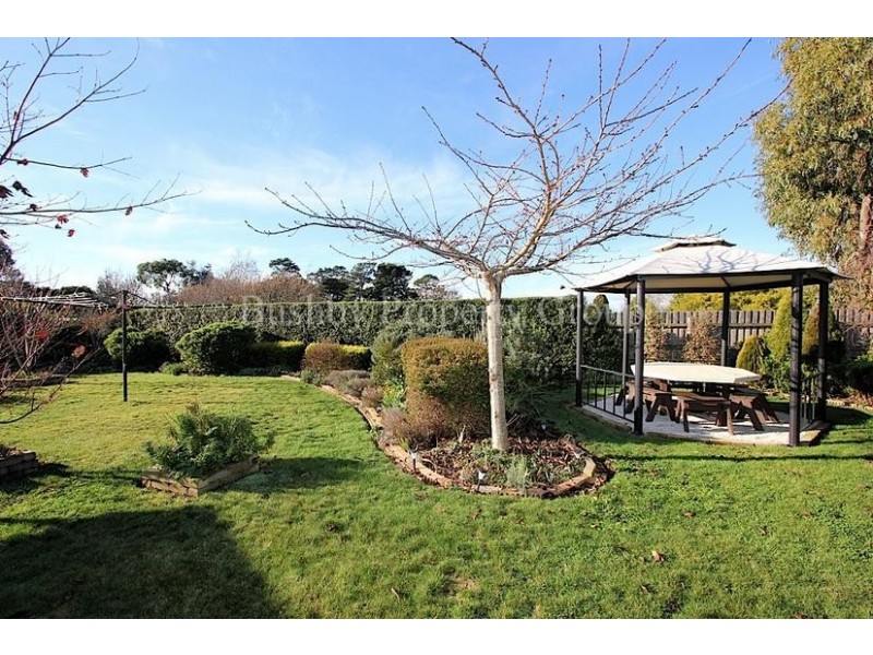 3 Lewis Street, Longford TAS 7301