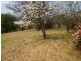 481a West Tamar Road, Riverside TAS 7250