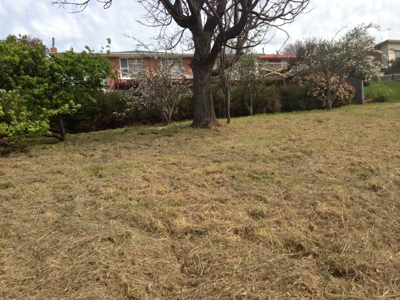 481a West Tamar Road, Riverside TAS 7250