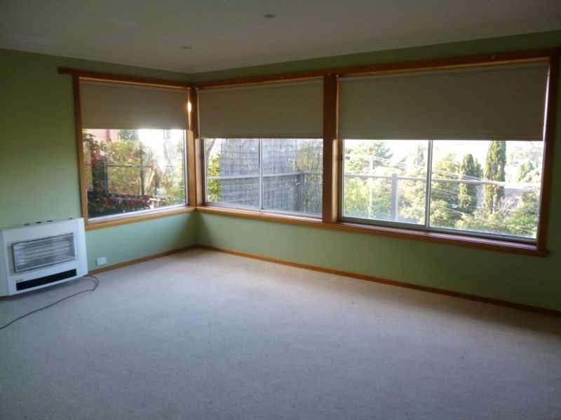 41 New World Avenue, Trevallyn TAS 7250