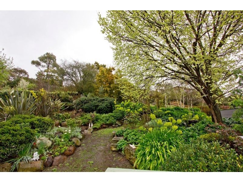 93 Forest Road, Trevallyn TAS 7250