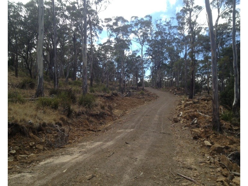 420 Boomer Road, Waverley TAS 7250