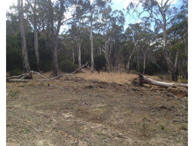 420 Boomer Road, Waverley TAS 7250