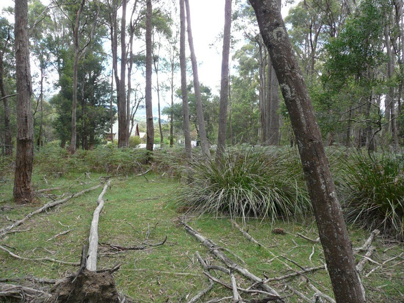 235 Bridgenorth Road, Legana TAS 7277