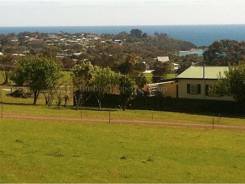 39 Frances Street, Bridport TAS 7262