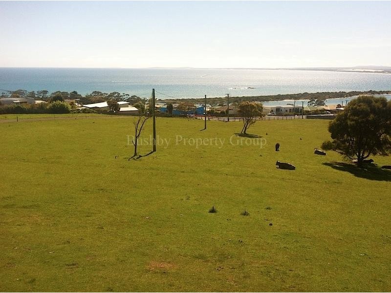 39 Frances Street, Bridport TAS 7262