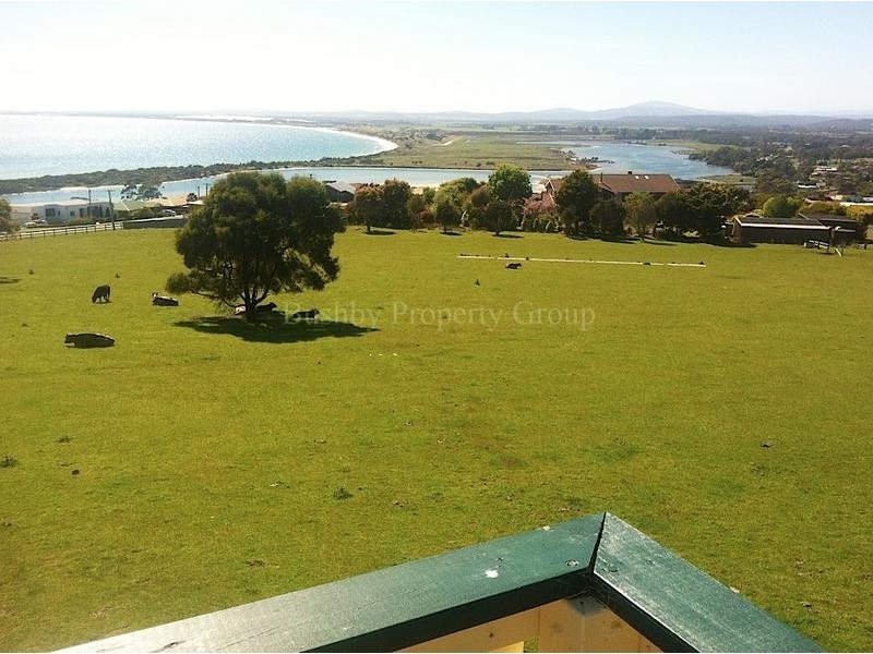 39 Frances Street, Bridport TAS 7262