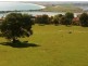 39 Frances Street, Bridport TAS 7262