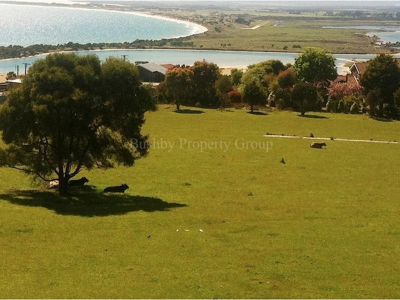 39 Frances Street, Bridport TAS 7262