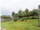19 Newlands Street, Trevallyn TAS 7250