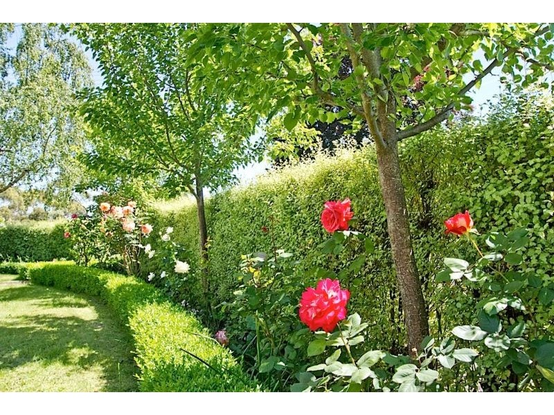 7 Veronica Crescent, Norwood TAS 7250