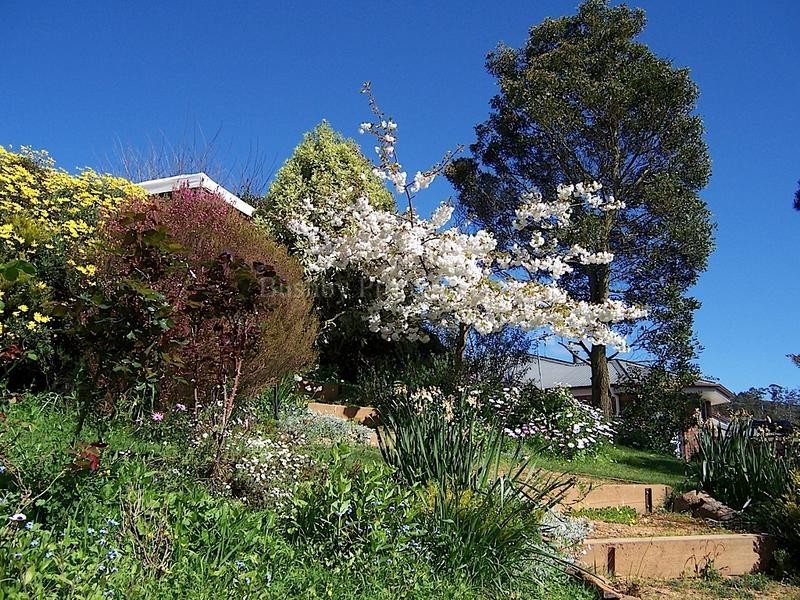 79 Blackstone Road, Blackstone Heights TAS 7250