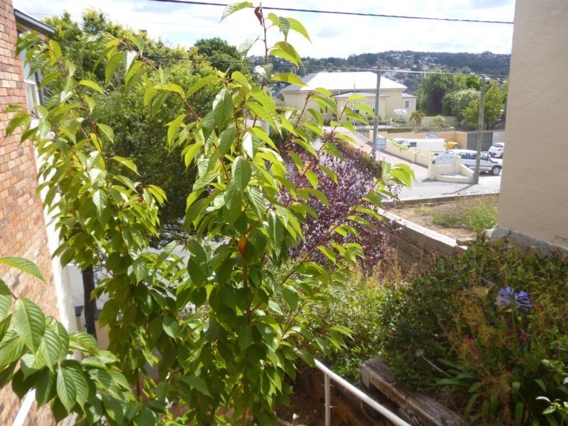 1/271 Charles Street, Launceston TAS 7250