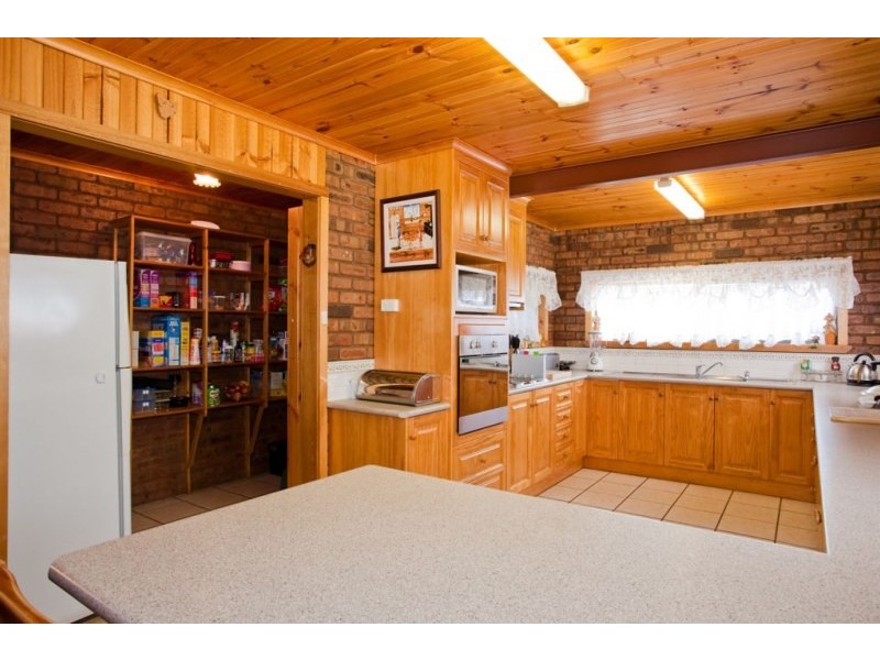 28 Archer Street, Cressy TAS 7302