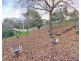 24 Clementina Street, Newstead TAS 7250