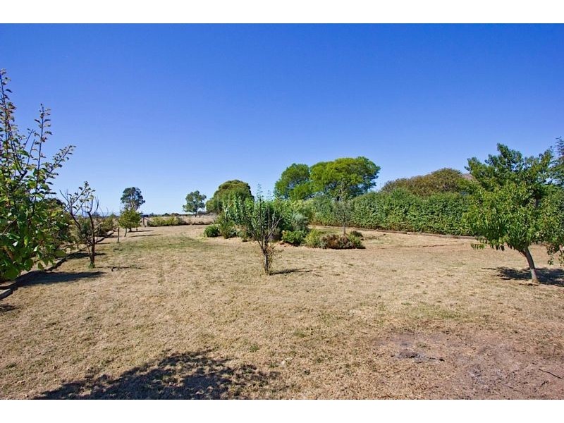 27 Pensioners Row, Westbury TAS 7303