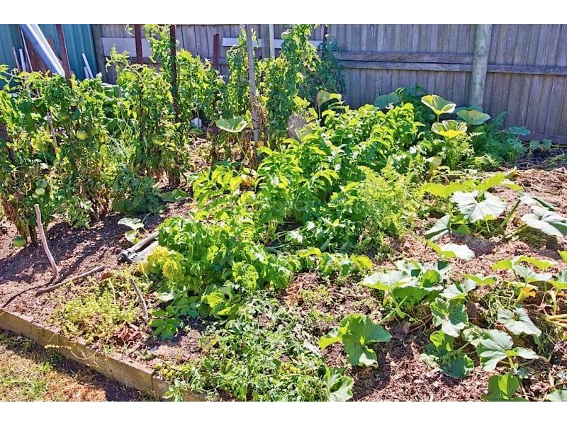 18 Low Head Road, George Town TAS 7253