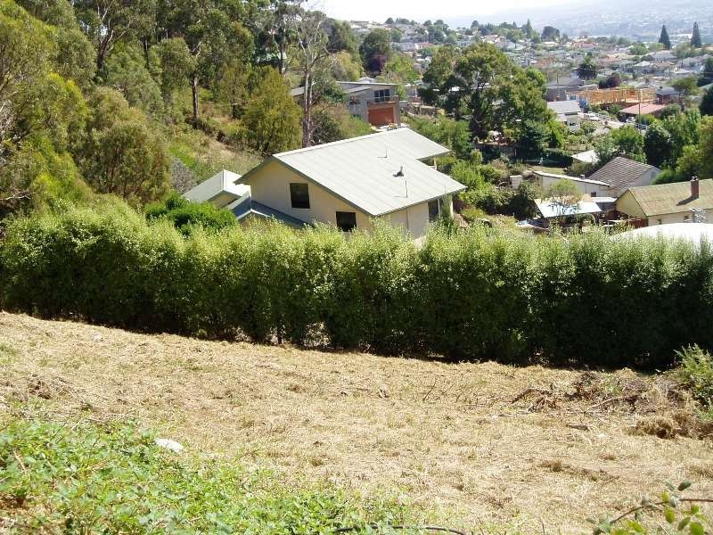 63 Granville Street, West Launceston TAS 7250