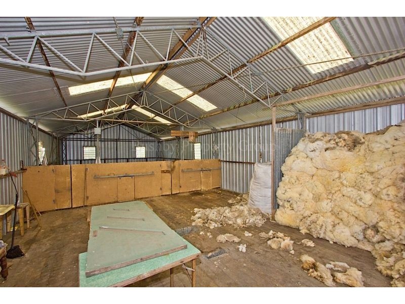 405 Dalrymple Road, Mount Direction TAS 7252