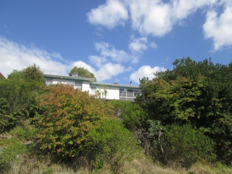 21 Newlands Street, Trevallyn TAS 7250