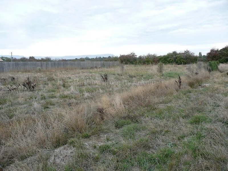 50 Burghley Street, Longford TAS 7301