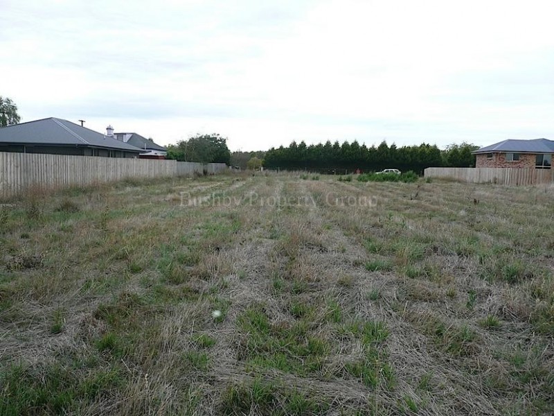 50 Burghley Street, Longford TAS 7301