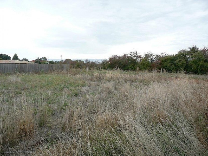 50 Burghley Street, Longford TAS 7301