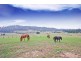13 Stokes Lane, Bridgenorth TAS 7277