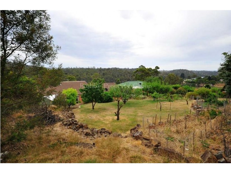 121 Blackstone Road, Blackstone Heights TAS 7250