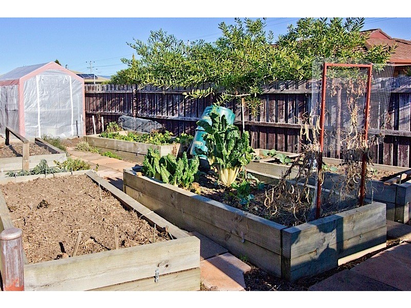 71 Hobhouse Street, Longford TAS 7301