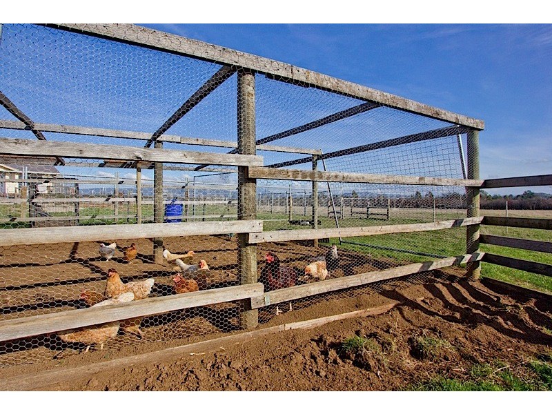 24 Allen Street, Westbury TAS 7303