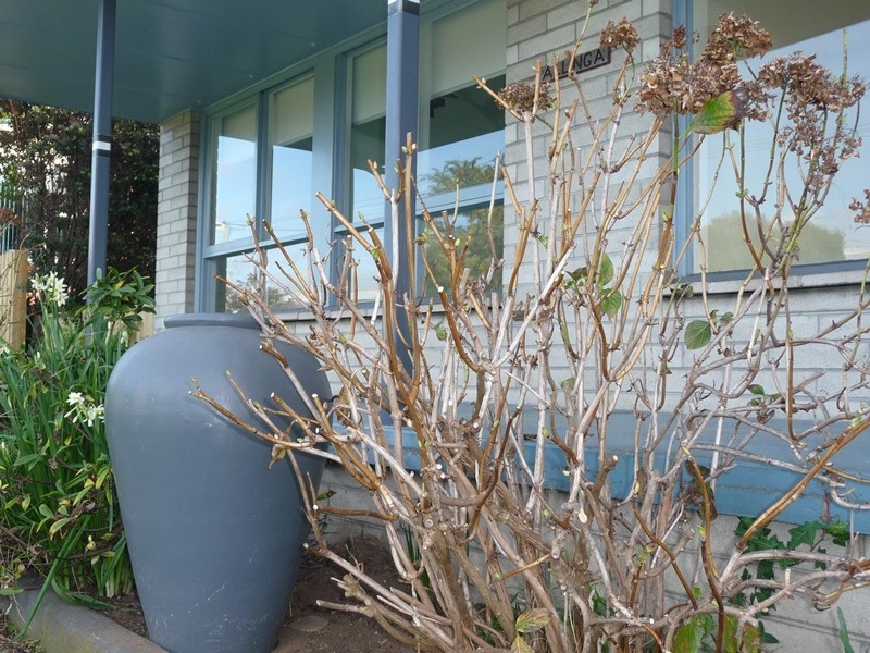 1 Little Street, George Town TAS 7253