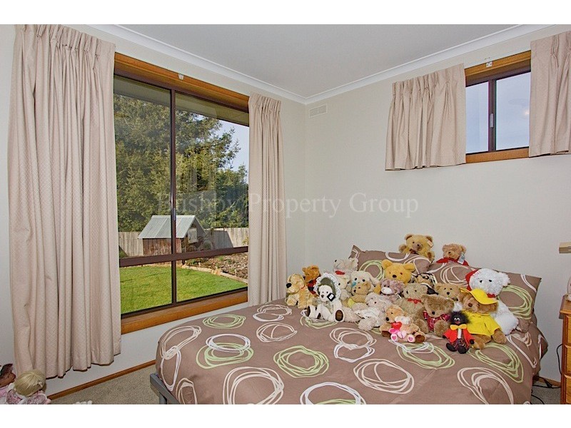 45 Elizabeth Street, Bracknell TAS 7302