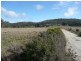 407 Dalrymple Road, Mount Direction TAS 7252