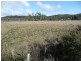 407 Dalrymple Road, Mount Direction TAS 7252