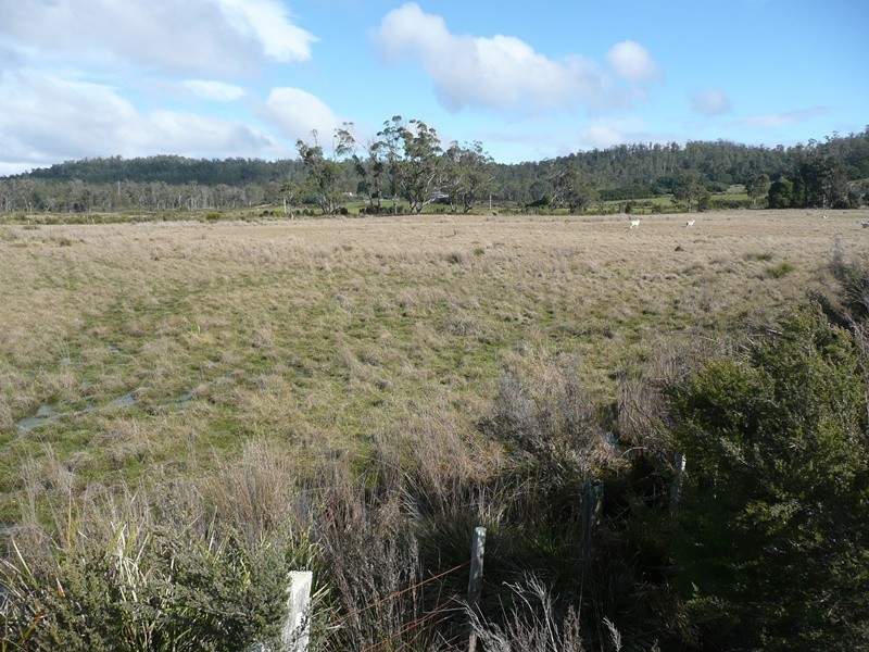 407 Dalrymple Road, Mount Direction TAS 7252