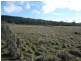 407 Dalrymple Road, Mount Direction TAS 7252