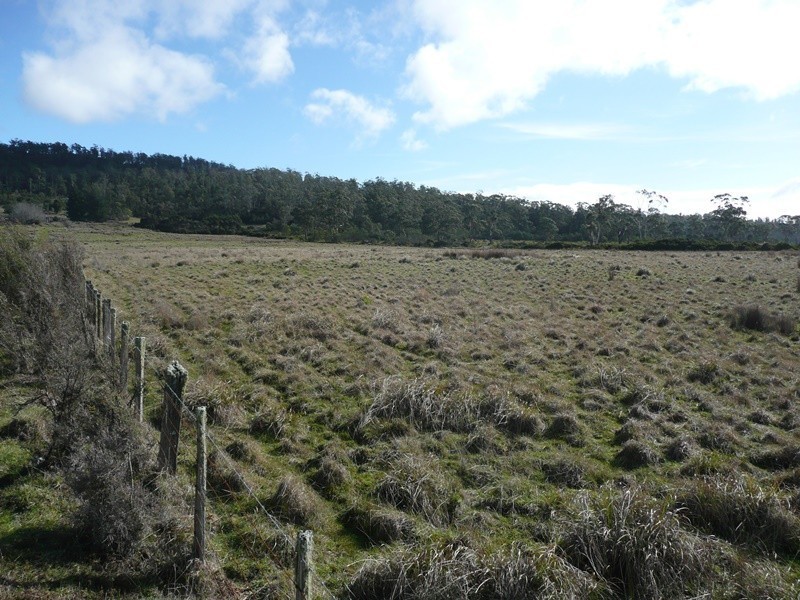 407 Dalrymple Road, Mount Direction TAS 7252