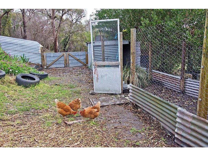 10 Henry Street, Lulworth TAS 7252